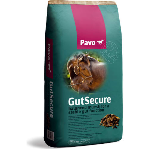 Pavo GutSecure 15 kg