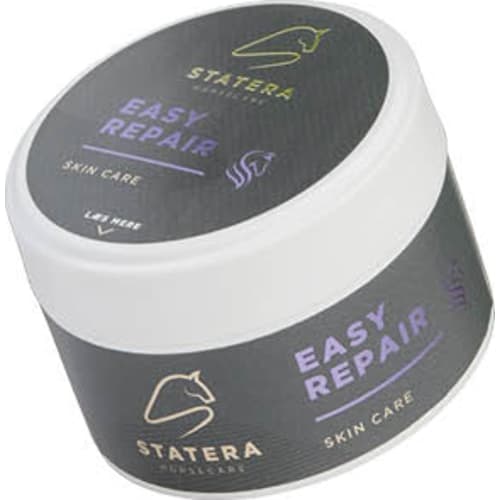 Statera Easy Repair 100ml