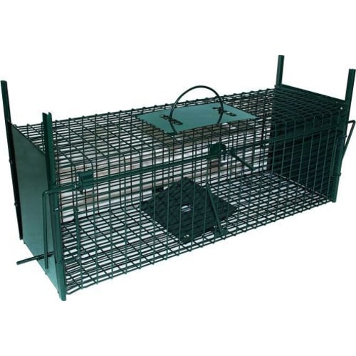 Trådfælde M/Faldlem 2 Indg.  64Cm