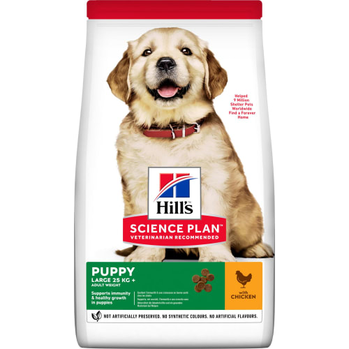 SP Puppy Large Breed Chicken 12kg HILL'S SCIENCE PLAN Puppy Large Breed, kylling