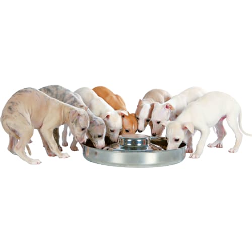 Hvalpeskål, metal, 4,0 l/ø 38 cm