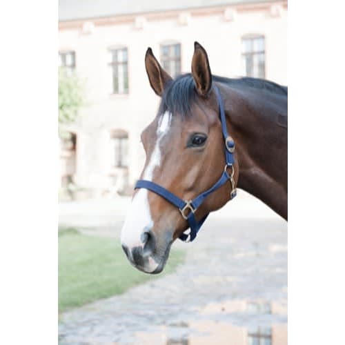HorseGuard Nylon Grime
Str. Shetland - X-FULL