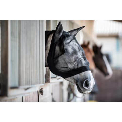 Fluemaske sort, cob