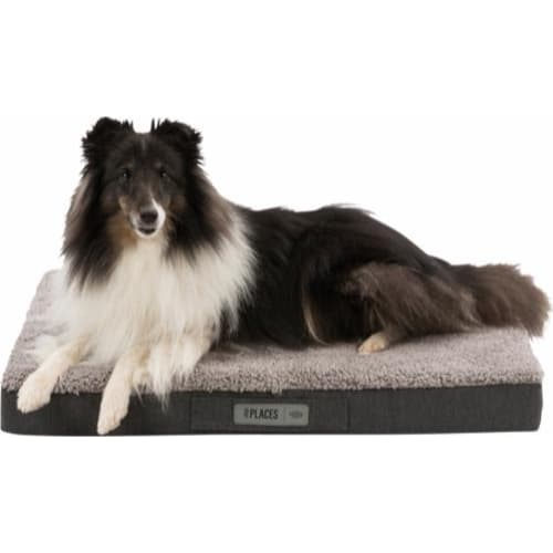 Bendson vital pude til hunde