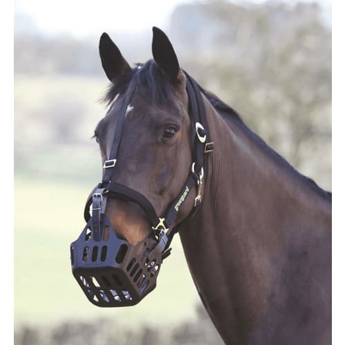 1763286 - Greenguard grime, sort