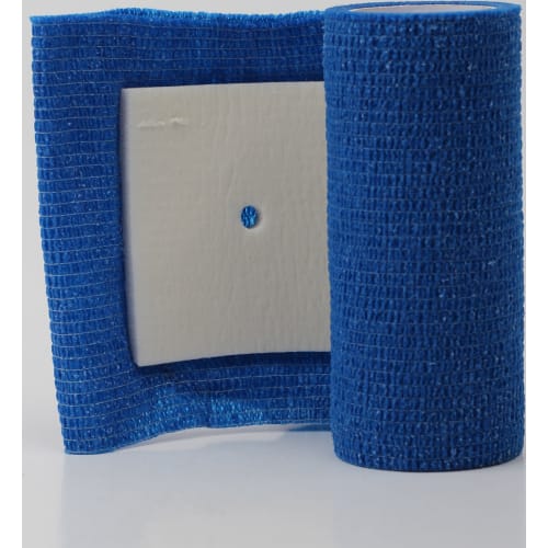 Bacxitium ben og mukplaster hest