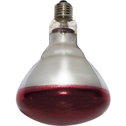 Varmpære philips rød 150w