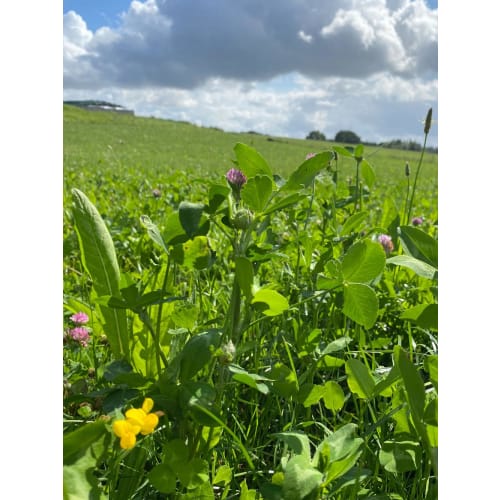 DLF Biodiversitet, 10 kg