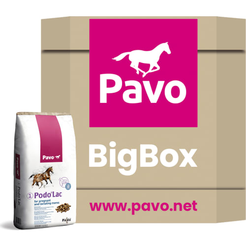 Pavo Podo Lac (1) Big Box 725 kg