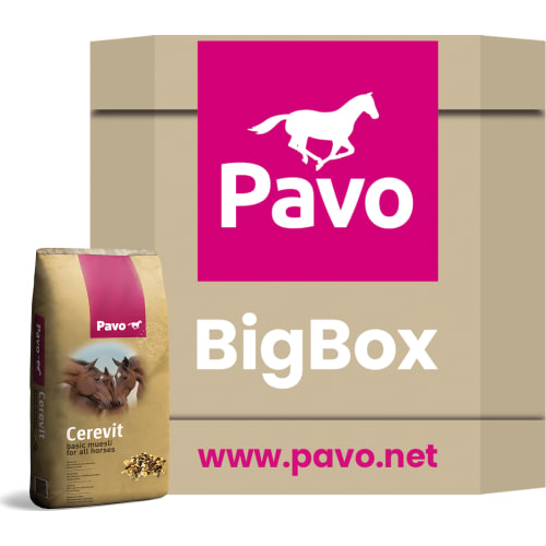 Pavo Cerevit Big Box 600 kg