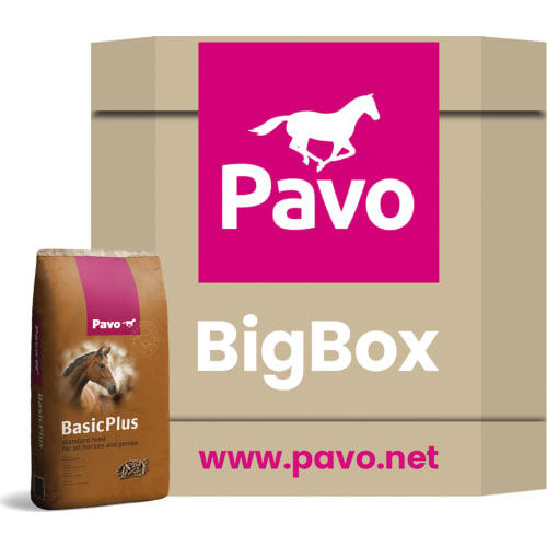Pavo Basic+ Big Box 725 kg