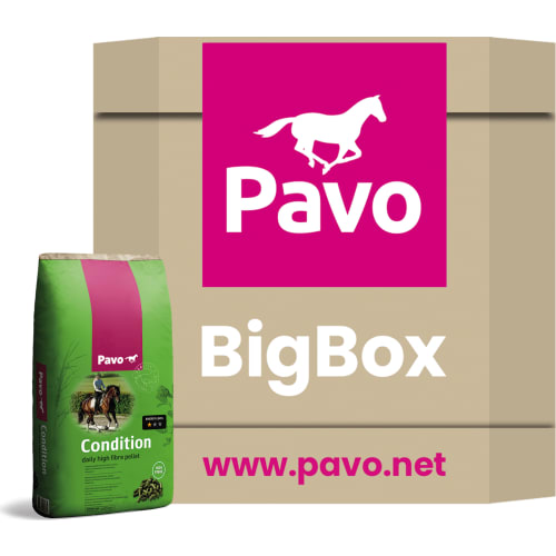 Pavo Condition Big Box 725 kg