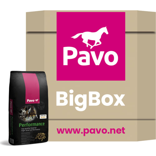 Pavo Performance BigBox 725 kg