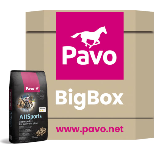 Pavo All Sports Big Box 725 kg