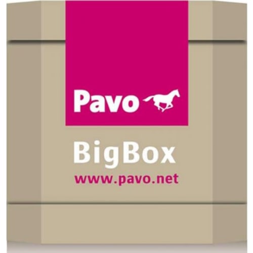 Pavo SportsCondition BigBox 725 kg