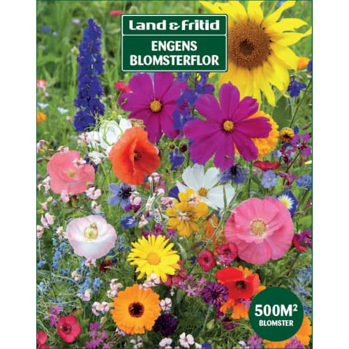 Blomsterfrø - Blomsterflor, 1000 g