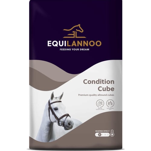 EQL Condition Cube 20 kg