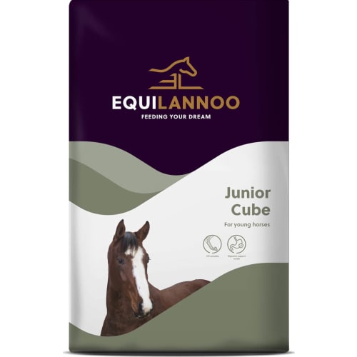 EQL Junior Cube 20 kg