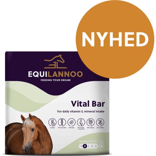 EQL Vital Bar Xxl 13,5 kg