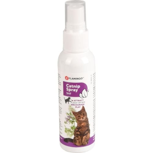 Katteurt spray, 60ml