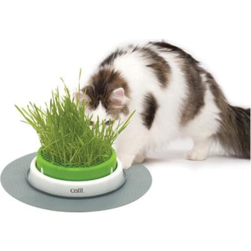 Catit Senses 2.0 grass planter, 24x24x13 cm
