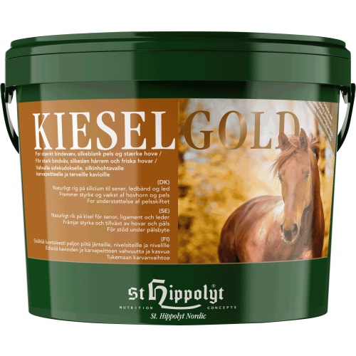 Zz Kieselgold, 10 kg
