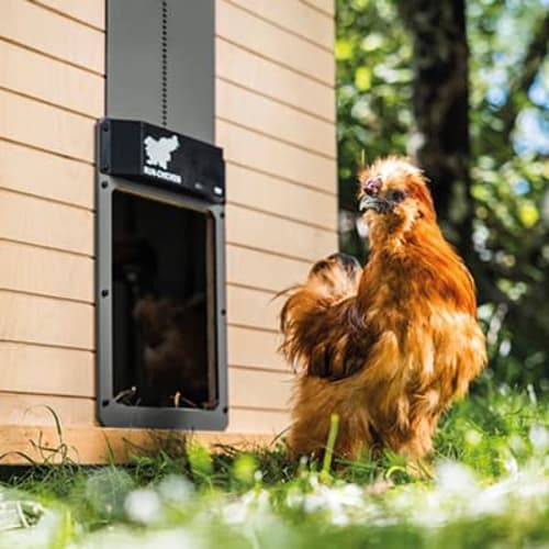 Automatisk hønsehusdør, Run-Chicken Auto T50