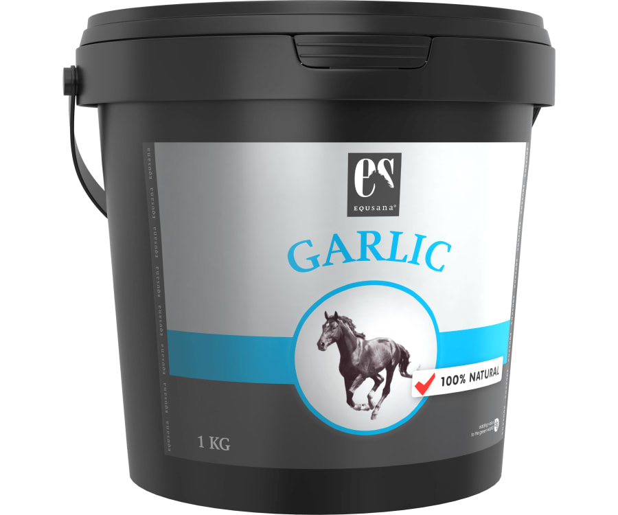Equsana Garlic - Sprødt og sundt hvidløgsgranulat