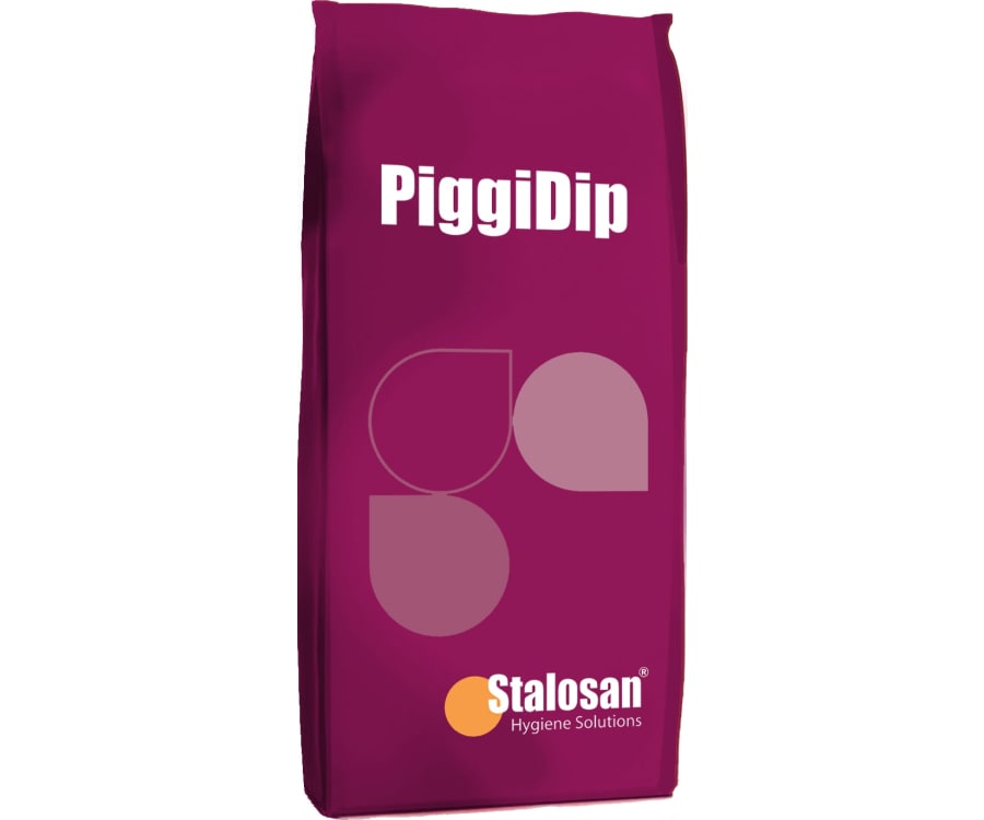 PiggiDip