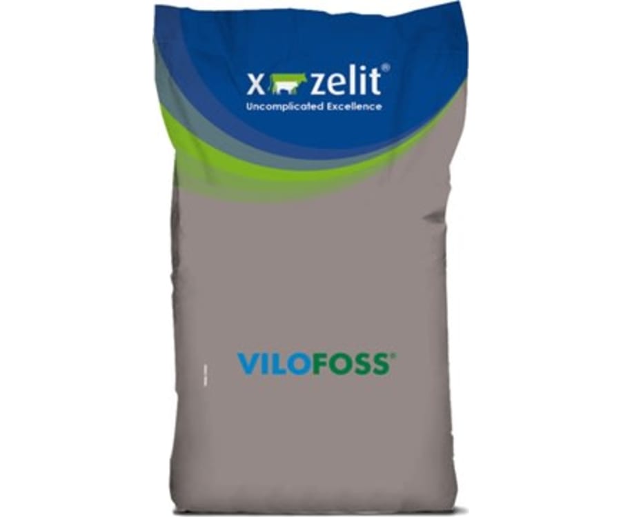 X-Zelit® Complete All Dry 