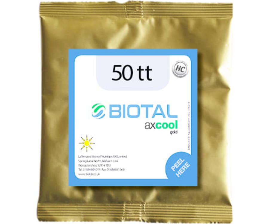 Biotal Axcool Gold (70g) 70 g,