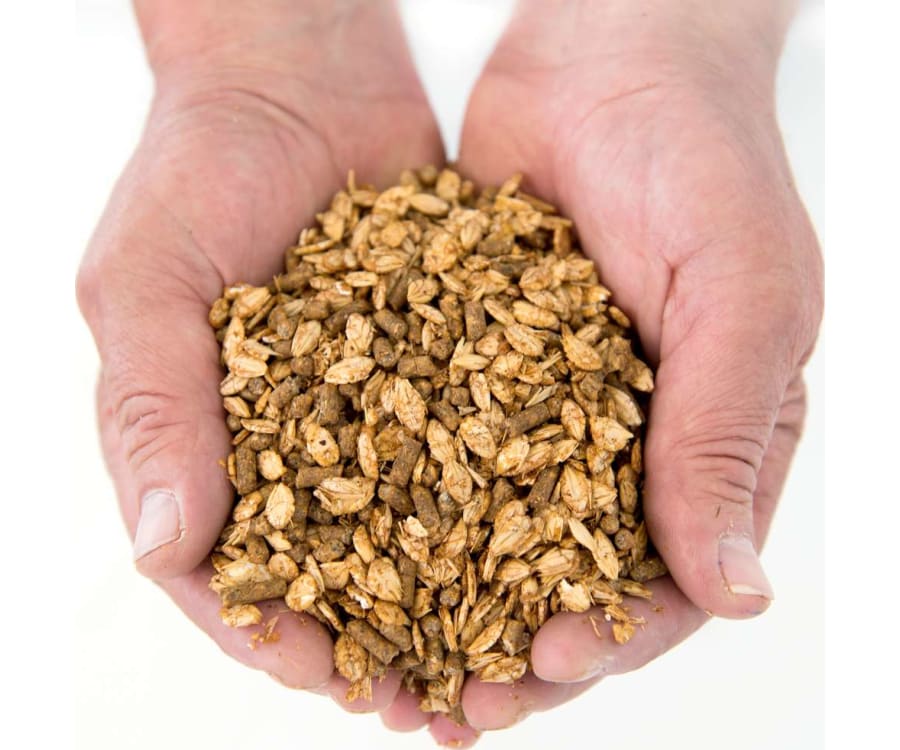 KomKalv Start Valset E-Force VLOG 12 KG